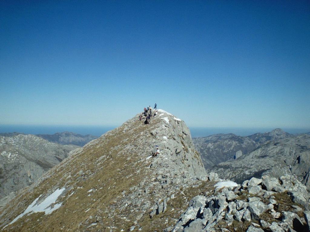 Viviendas De Uso Turistico La Arboleda I Y II Colombres Zimmer foto