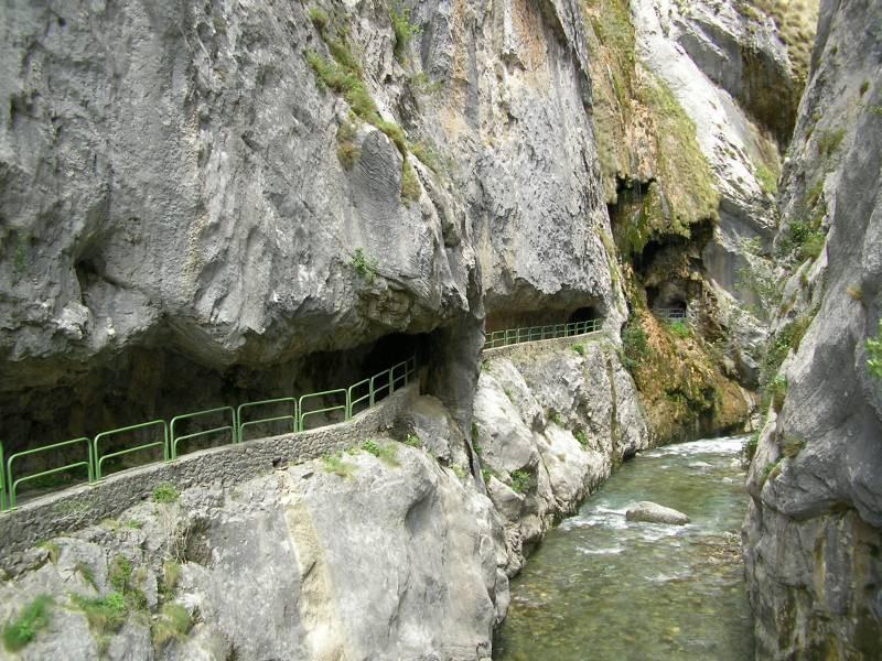 Viviendas De Uso Turistico La Arboleda I Y II Colombres Exterior foto