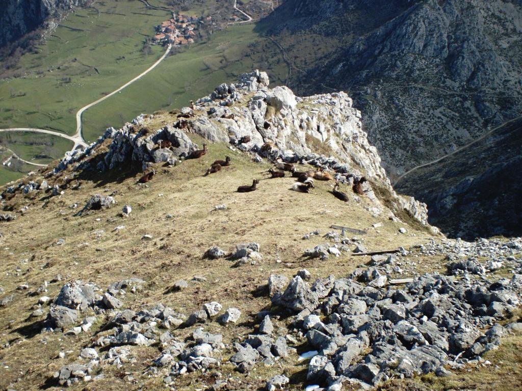 Viviendas De Uso Turistico La Arboleda I Y II Colombres Exterior foto
