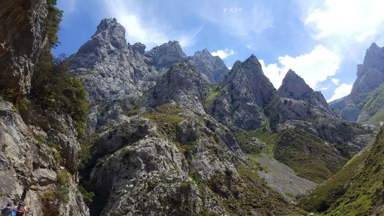 Viviendas De Uso Turistico La Arboleda I Y II Colombres Exterior foto