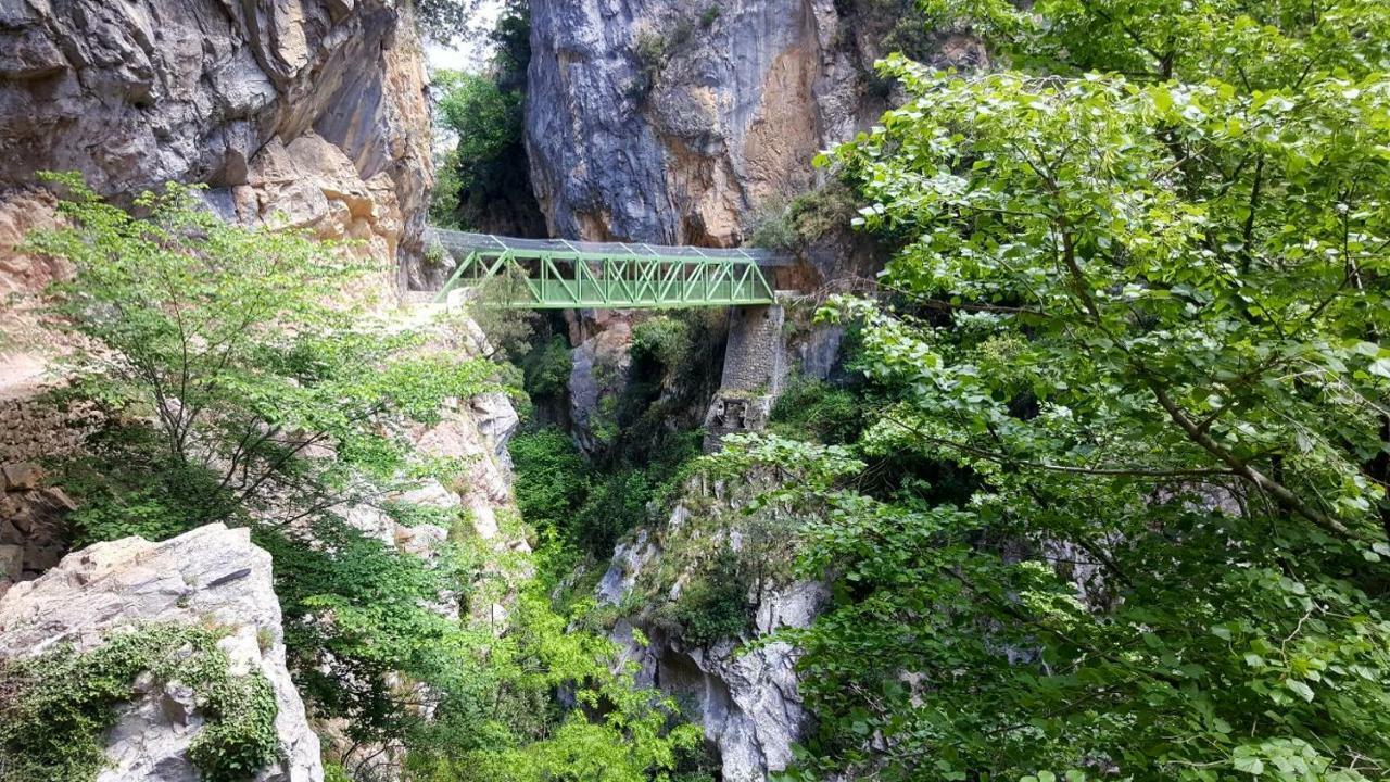 Viviendas De Uso Turistico La Arboleda I Y II Colombres Exterior foto