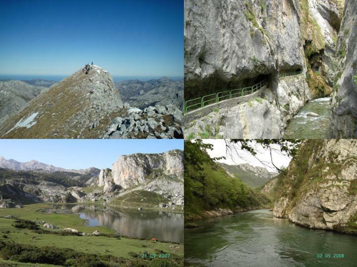 Viviendas De Uso Turistico La Arboleda I Y II Colombres Exterior foto
